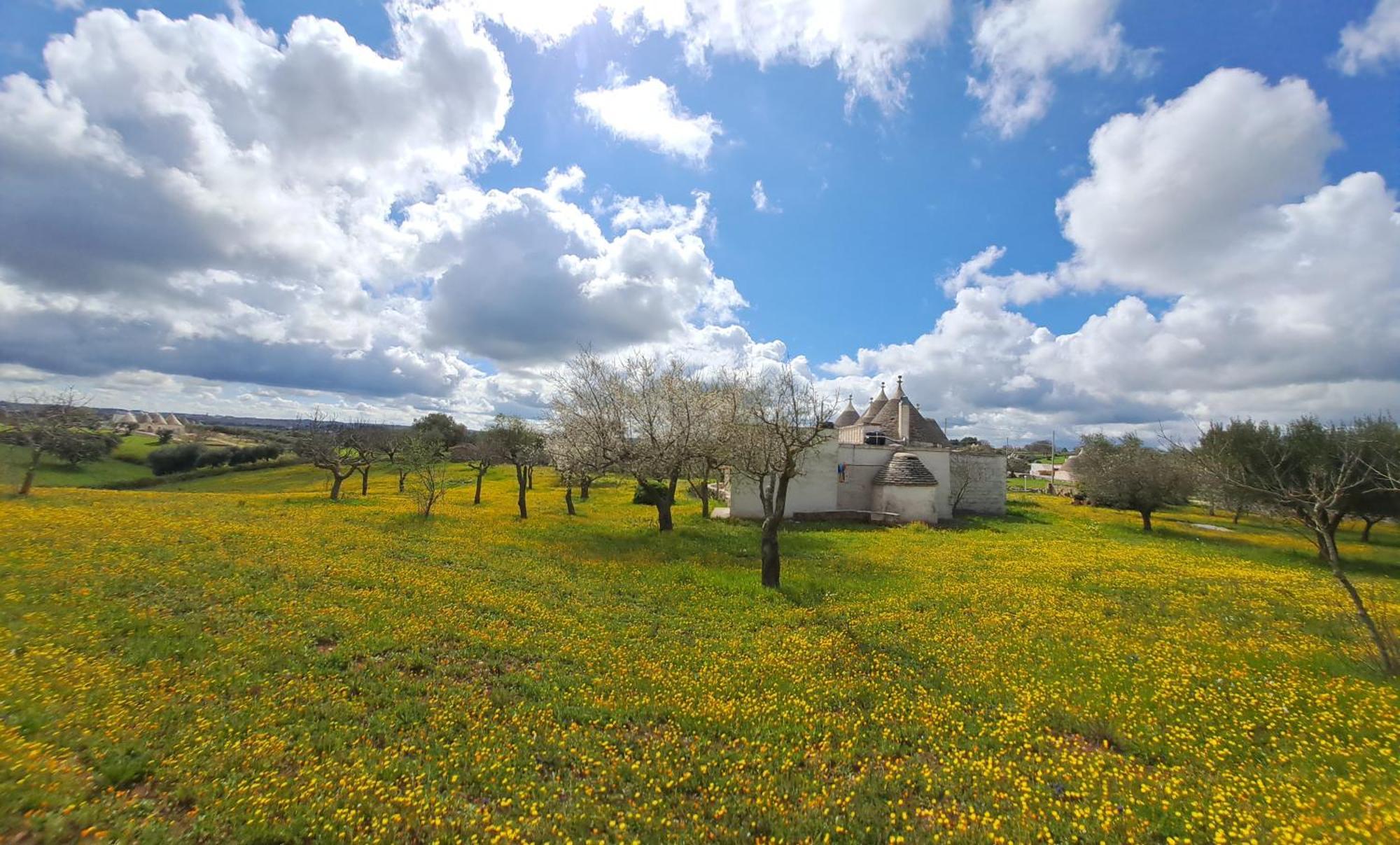 Trulli Carlo Anna Villa Locorotondo Eksteriør bilde