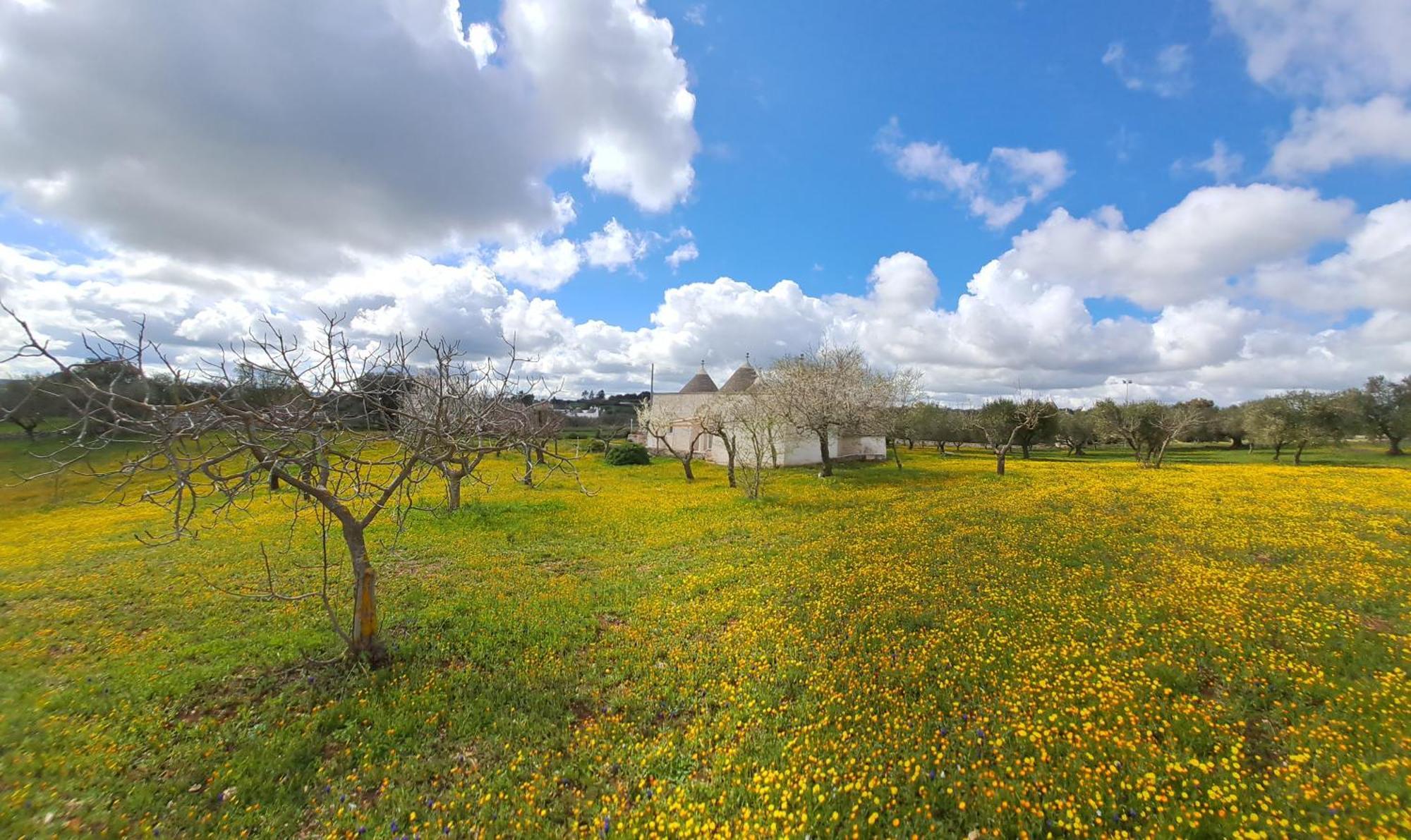 Trulli Carlo Anna Villa Locorotondo Eksteriør bilde